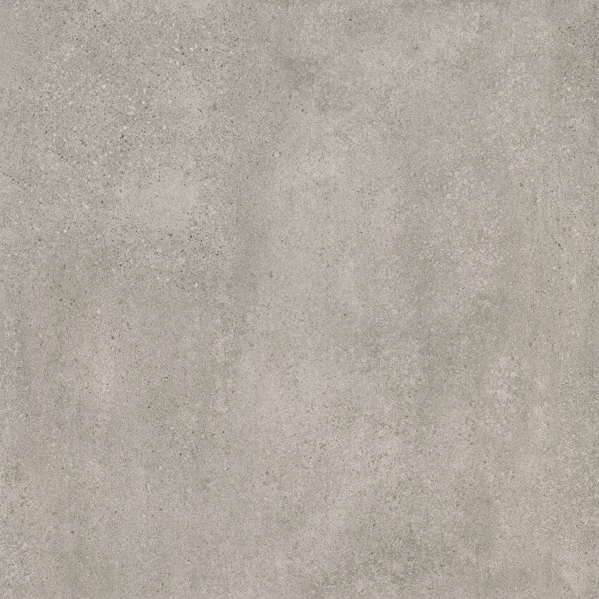 RAK Paleo Grey Matt Stone-Effect Porcelain Tile 60x120cm — Clearance Pallet Deal