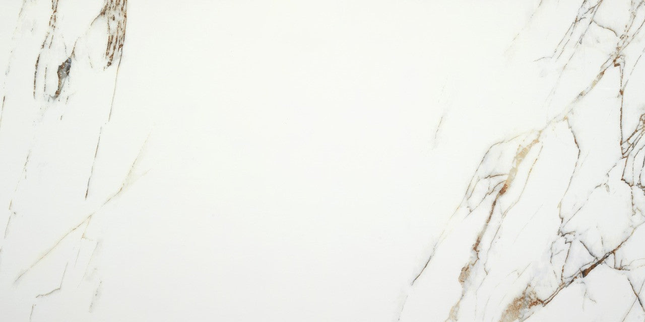 Close-up of the Ayora White Polished tile surface showing detailed marble-like veining across a white background.