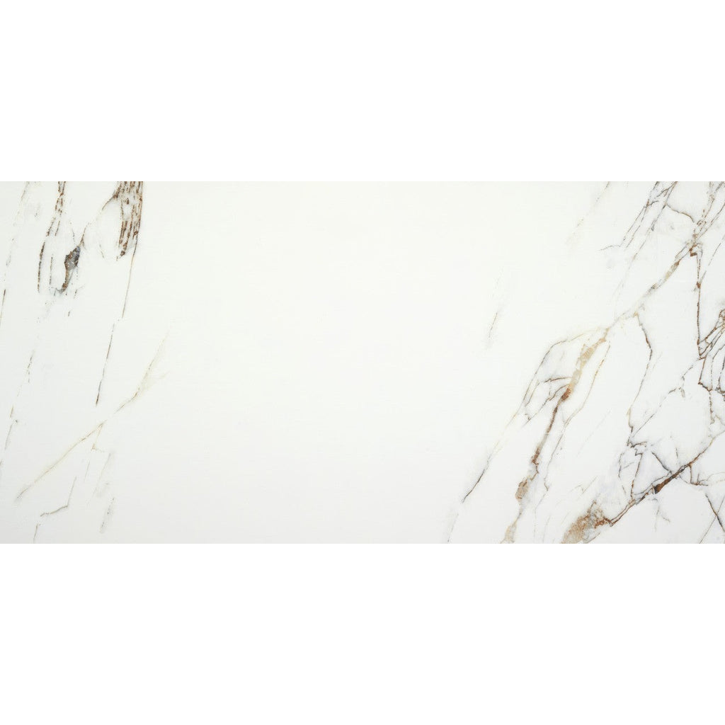 Close-up of the Ayora White Polished tile surface showing detailed marble-like veining across a white background.