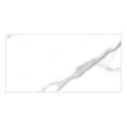 Delta White Polished Marble-Effect Porcelain Tile — tile face