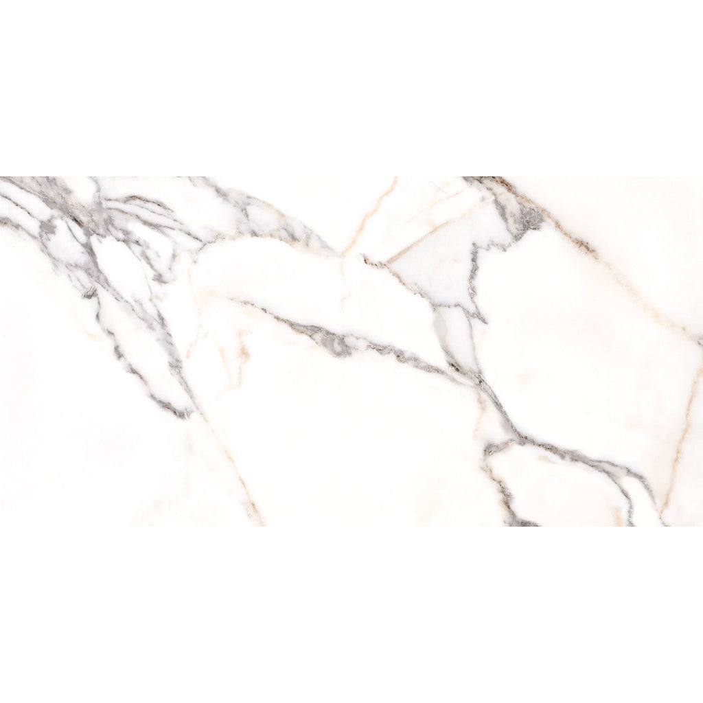 Elysian White 3D Matt Porcelain Wall & Floor Tile - 60x120cm