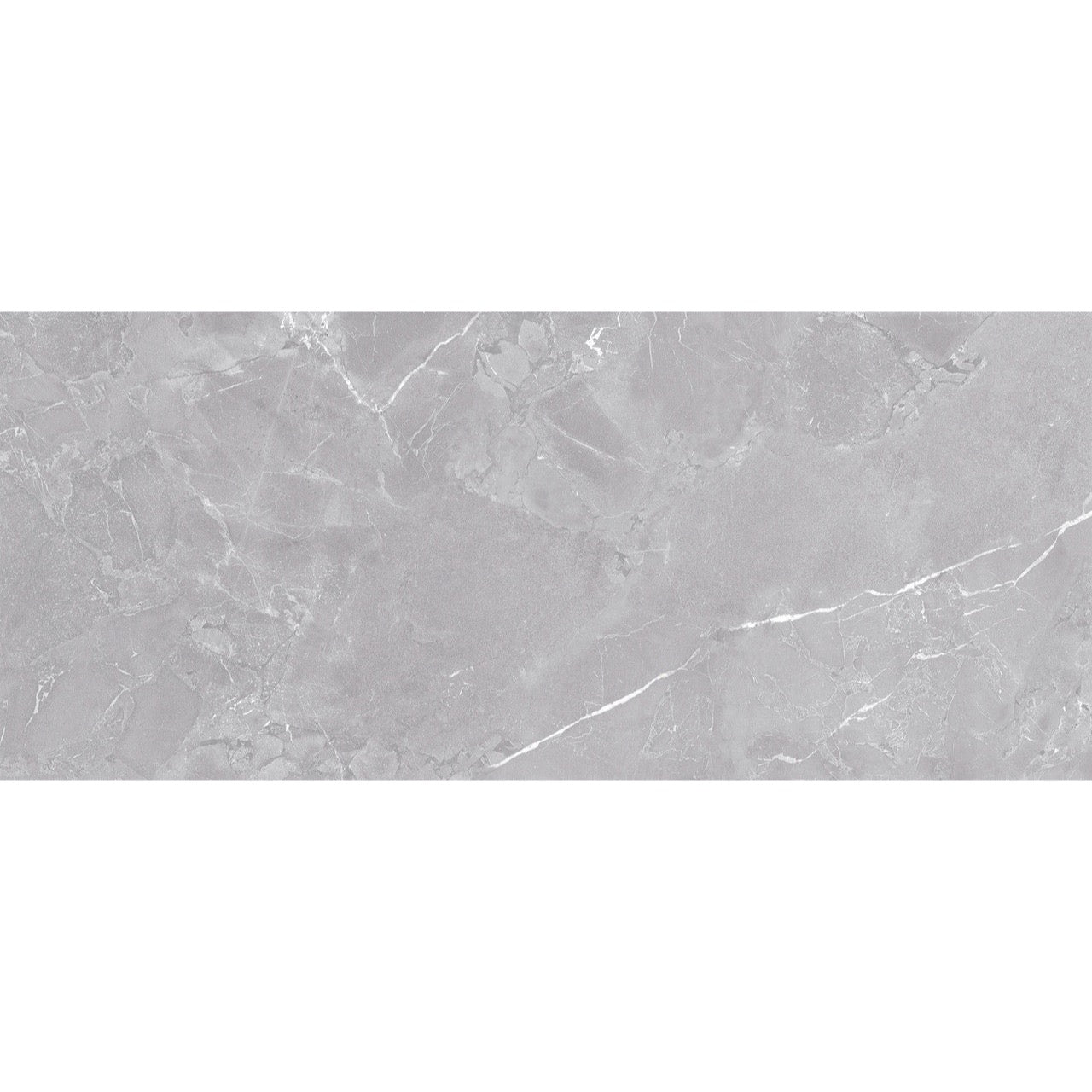 Flat lay of Lithos Grey tile showing detailed white veining on a soft grey stone-like texture.