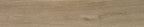 Close-up of Oakmere Pine porcelain tile surface showing lifelike wood grain texture and warm pine colouring.