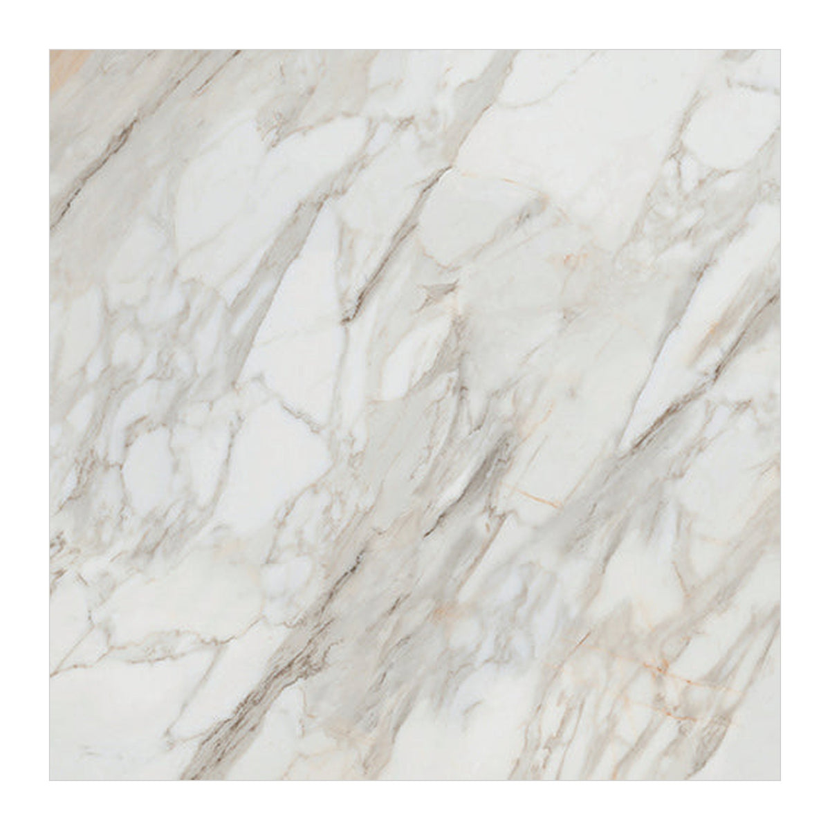 RAK Calacatta Gold White Polished Marble-Effect Porcelain Slab 120x240cm — Clearance Pallet Deal — tile face