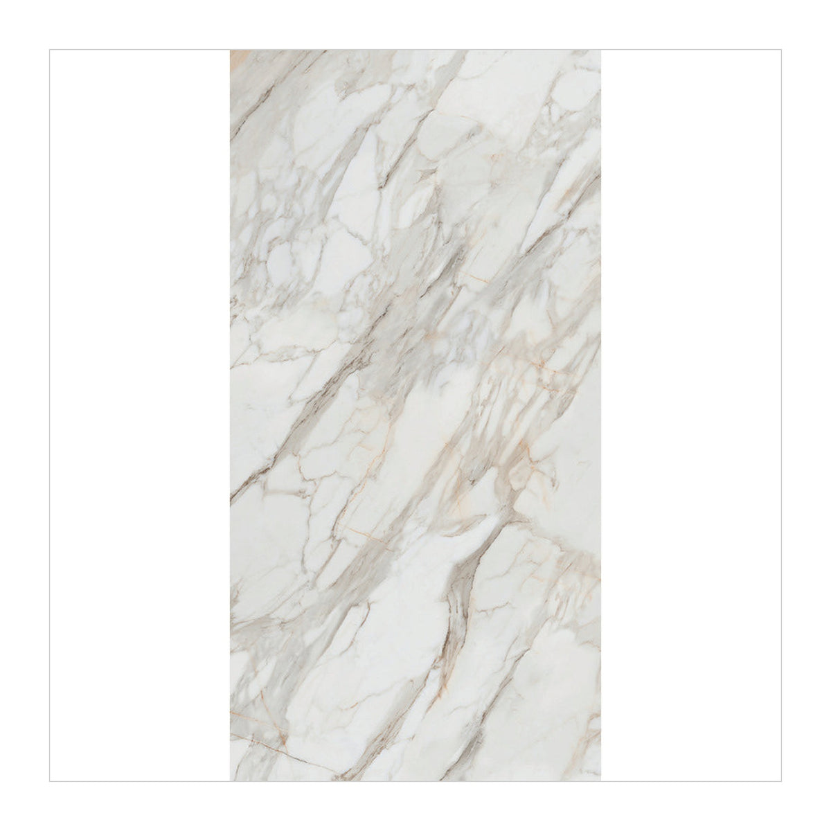 RAK Calacatta Gold White Polished Marble-Effect Porcelain Slab 120x240cm — Clearance Pallet Deal — tile face