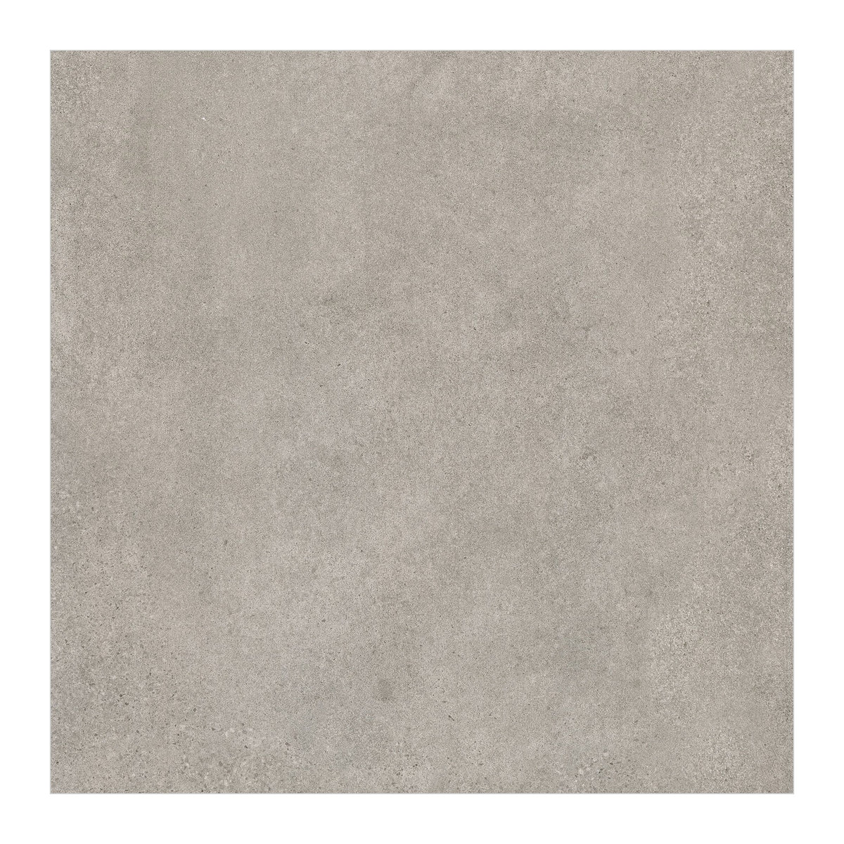 RAK Paleo Grey Matt Stone-Effect Porcelain Tile 60x120cm — Clearance Pallet Deal — tile face