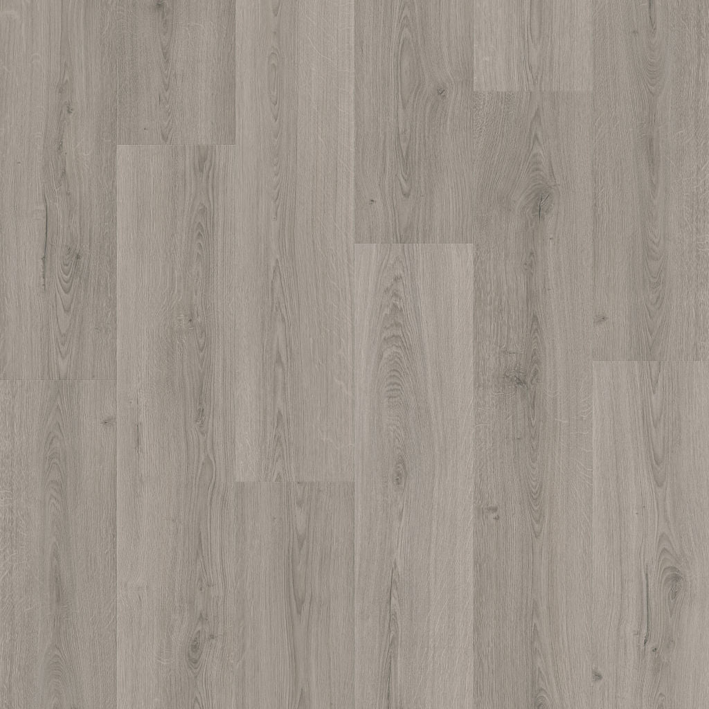 Quick-Step Alpha Bloom – Botanic Grey LVT Flooring (AVMPU40237) - Premium Alpha Bloom collection featuring grey luxury vinyl tile flooring with waterproof technology and easy click-fit installation