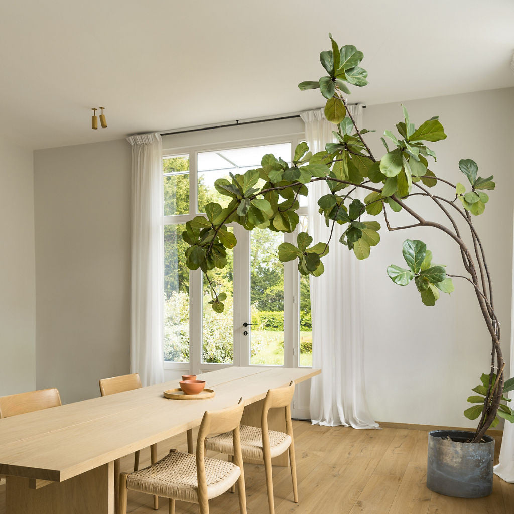 Quick-Step Impressive Ultra Soft Oak Natural IMU1855 12mm Laminate Flooring 9.5mm Laminate Flooring (IMU1855) - Premium Impressive collection featuring oak luxury vinyl tile flooring with waterproof technology and easy click-fit installation