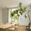 Quick-Step Impressive Soft Oak Natural 8mm Laminate Flooring (IM1855)