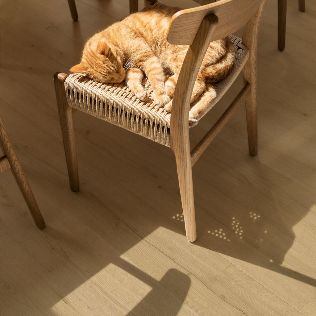 Quick-Step Alpha Bloom – Botanic Oak Beige LVT Flooring (AVMPU40319) - Premium Alpha Bloom collection featuring oak luxury vinyl tile flooring with waterproof technology and easy click-fit installation