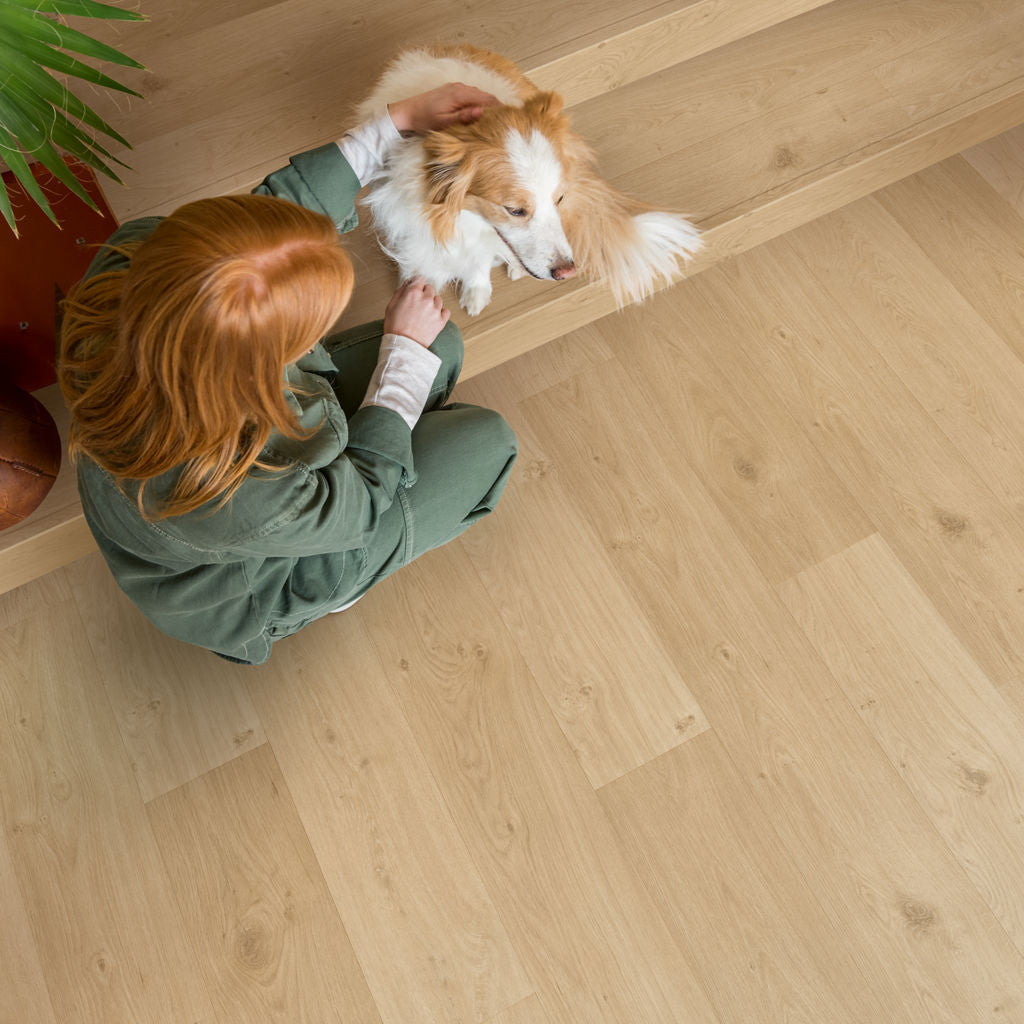 Quick-Step Alpha Vinyl Blos – Coast Oak Beige Rigid Vinyl Flooring (AVSPU40321) - Premium Quick-Step collection featuring oak luxury vinyl tile flooring with waterproof technology and easy click-fit installation